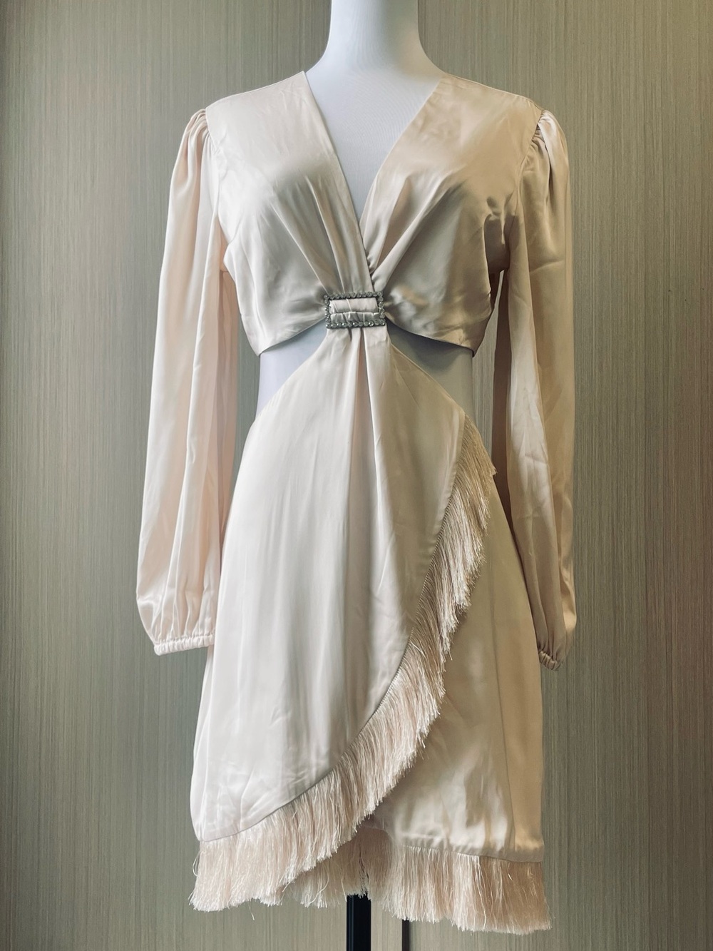 PatBO NWOT Pale Blush Satin Long Sleeve Cutout Dress with Fringe for C&A